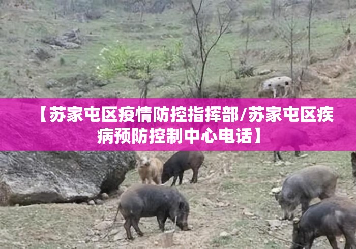【苏家屯区疫情防控指挥部/苏家屯区疾病预防控制中心电话】 【苏家屯区疫情防控指挥部/苏家屯区疾病预防控制中心电话】