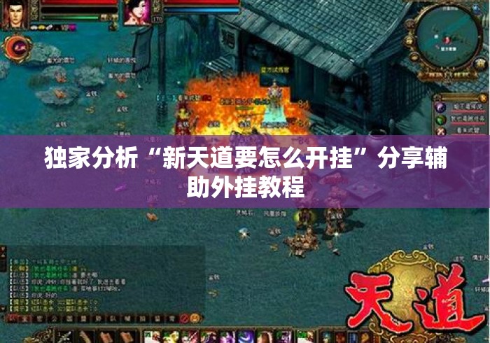 独家分析“新天道要怎么开挂”分享辅助外挂教程