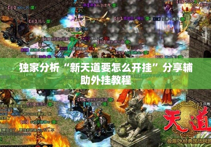 独家分析“新天道要怎么开挂	”分享辅助外挂教程