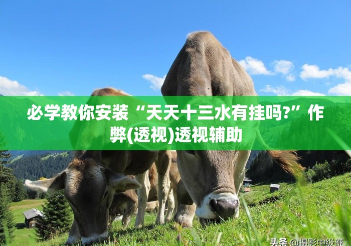 必学教你安装“天天十三水有挂吗?	”作弊(透视)透视辅助