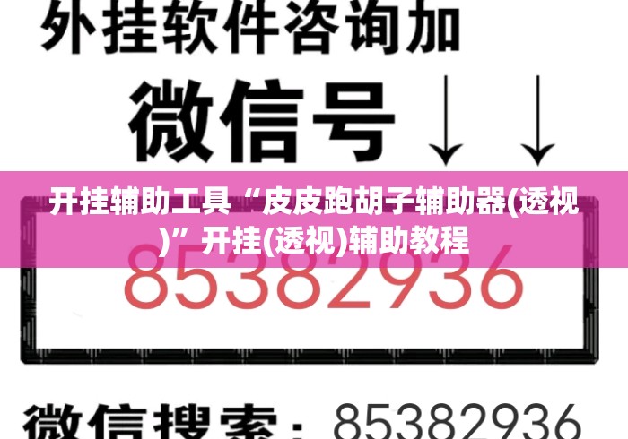 开挂辅助工具“皮皮跑胡子辅助器(透视)”开挂(透视)辅助教程