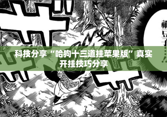科技分享“哈狗十三道挂苹果版	”真实开挂技巧分享