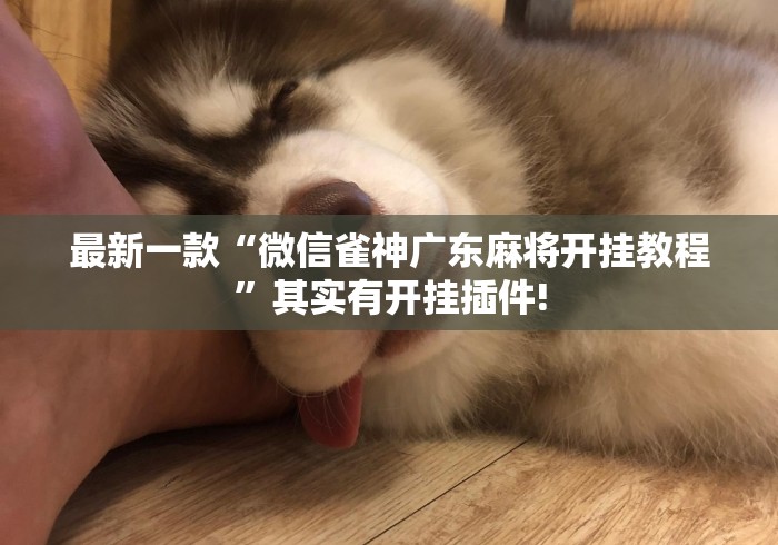 最新一款“微信雀神广东麻将开挂教程”其实有开挂插件!