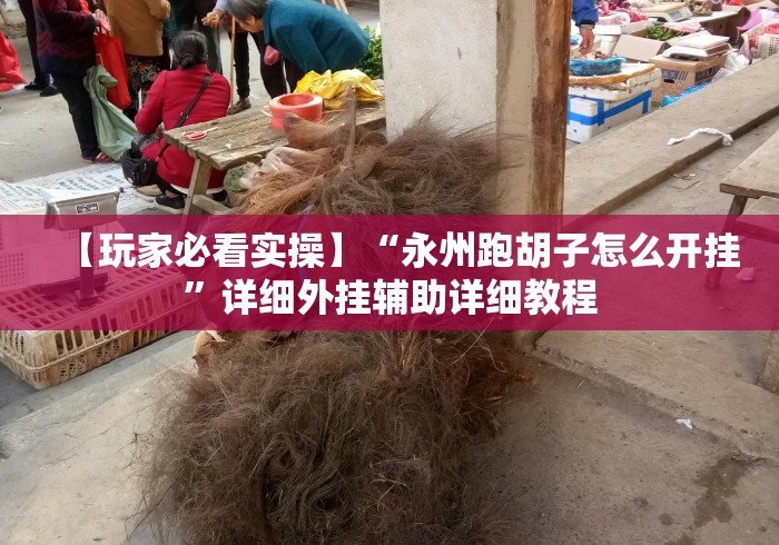 【玩家必看实操】“永州跑胡子怎么开挂”详细外挂辅助详细教程