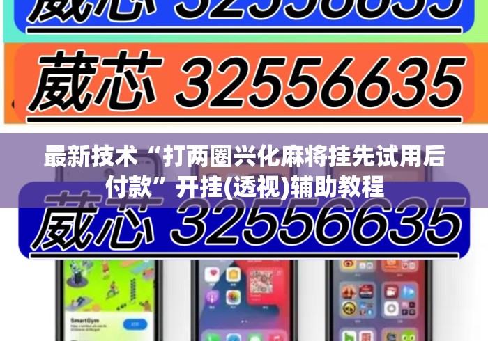最新技术“打两圈兴化麻将挂先试用后付款”开挂(透视)辅助教程