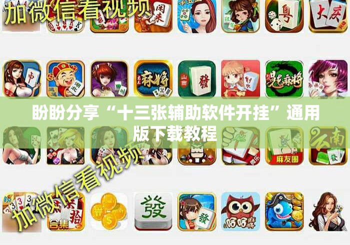盼盼分享“十三张辅助软件开挂	”通用版下载教程