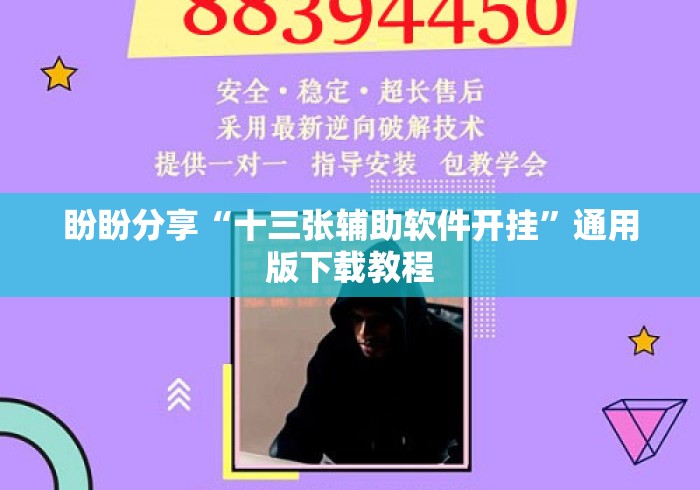 盼盼分享“十三张辅助软件开挂	”通用版下载教程