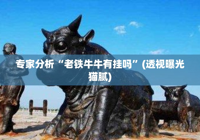 专家分析“老铁牛牛有挂吗	”(透视曝光猫腻)