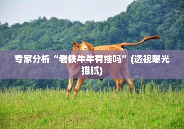 专家分析“老铁牛牛有挂吗	”(透视曝光猫腻)