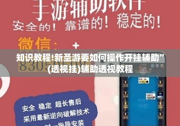 知识教程!新圣游要如何操作开挂辅助”(透视挂)辅助透视教程