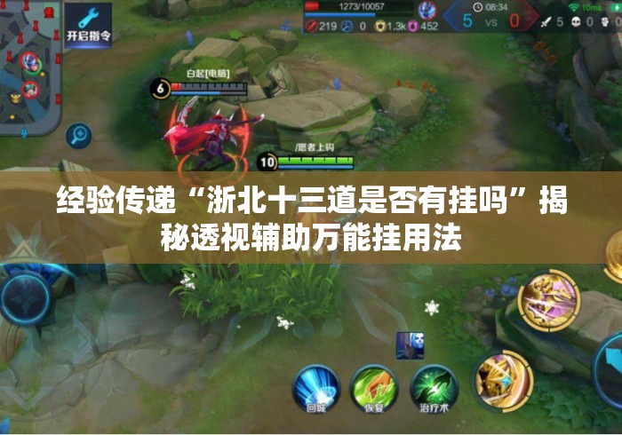 经验传递“浙北十三道是否有挂吗	”揭秘透视辅助万能挂用法
