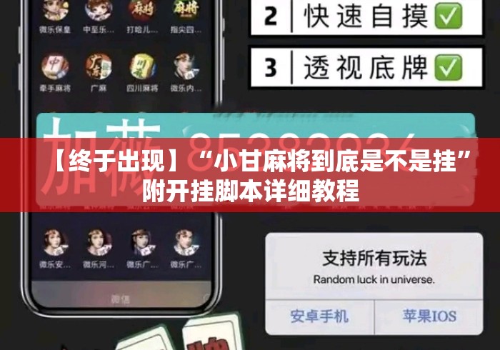 【终于出现】“小甘麻将到底是不是挂”附开挂脚本详细教程