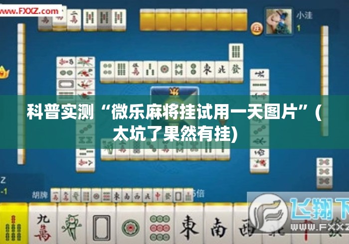 科普实测“微乐麻将挂试用一天图片”(太坑了果然有挂)
