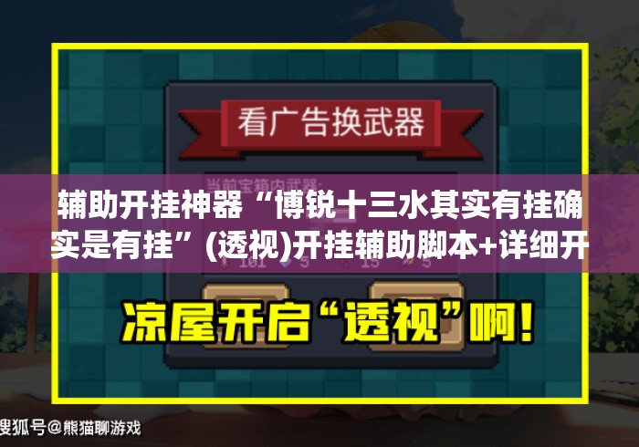 辅助开挂神器“博锐十三水其实有挂确实是有挂”(透视)开挂辅助脚本+详细开挂安装教程
