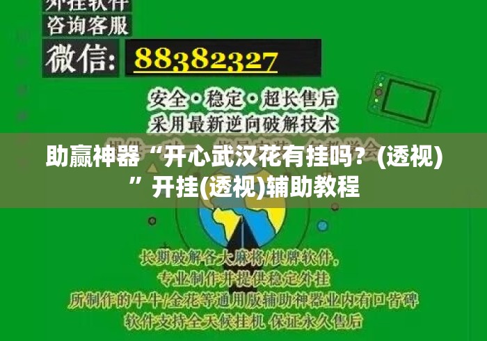 助赢神器“开心武汉花有挂吗？(透视)”开挂(透视)辅助教程