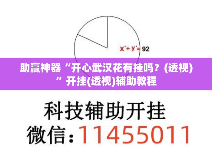 助赢神器“开心武汉花有挂吗？(透视)”开挂(透视)辅助教程