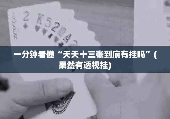 一分钟看懂“天天十三张到底有挂吗”(果然有透视挂)