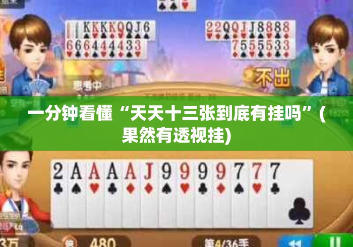 一分钟看懂“天天十三张到底有挂吗”(果然有透视挂)