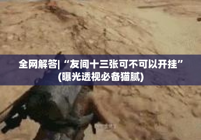 全网解答|“友间十三张可不可以开挂”(曝光透视必备猫腻)