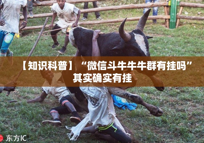 【知识科普】“微信斗牛牛牛群有挂吗	”其实确实有挂