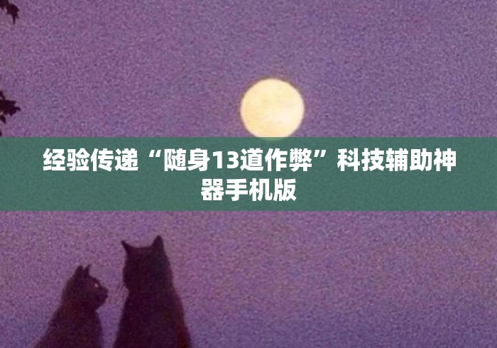 经验传递“随身13道作弊”科技辅助神器手机版