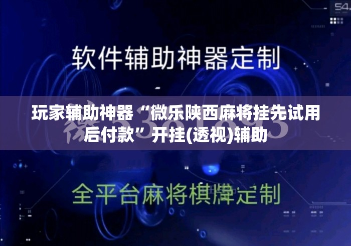 玩家辅助神器“微乐陕西麻将挂先试用后付款”开挂(透视)辅助