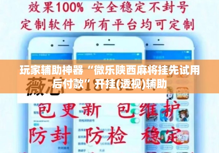 玩家辅助神器“微乐陕西麻将挂先试用后付款	”开挂(透视)辅助