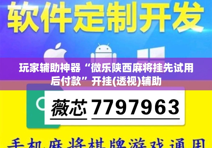玩家辅助神器“微乐陕西麻将挂先试用后付款”开挂(透视)辅助