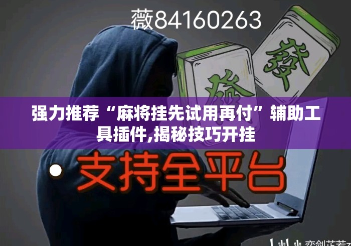 强力推荐“麻将挂先试用再付”辅助工具插件,揭秘技巧开挂