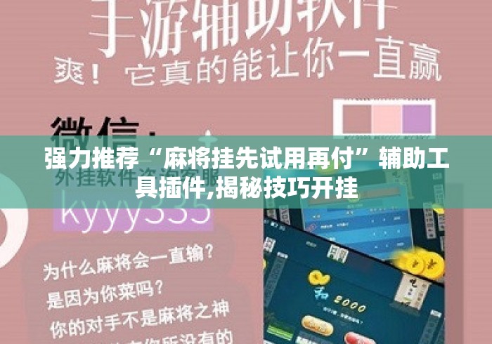 强力推荐“麻将挂先试用再付	”辅助工具插件,揭秘技巧开挂