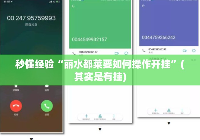 秒懂经验“丽水都莱要如何操作开挂	”(其实是有挂)