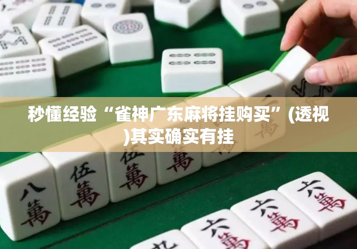 秒懂经验“雀神广东麻将挂购买”(透视)其实确实有挂