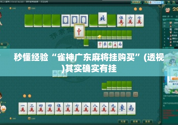 秒懂经验“雀神广东麻将挂购买	”(透视)其实确实有挂