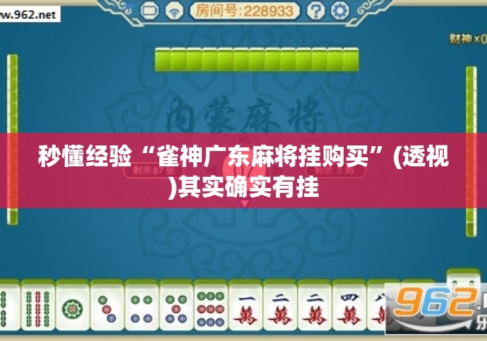 秒懂经验“雀神广东麻将挂购买”(透视)其实确实有挂