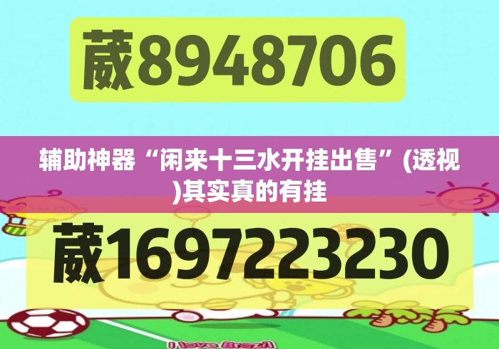 辅助神器“闲来十三水开挂出售”(透视)其实真的有挂