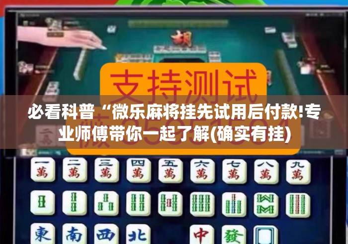 必看科普“微乐麻将挂先试用后付款!专业师傅带你一起了解(确实有挂)