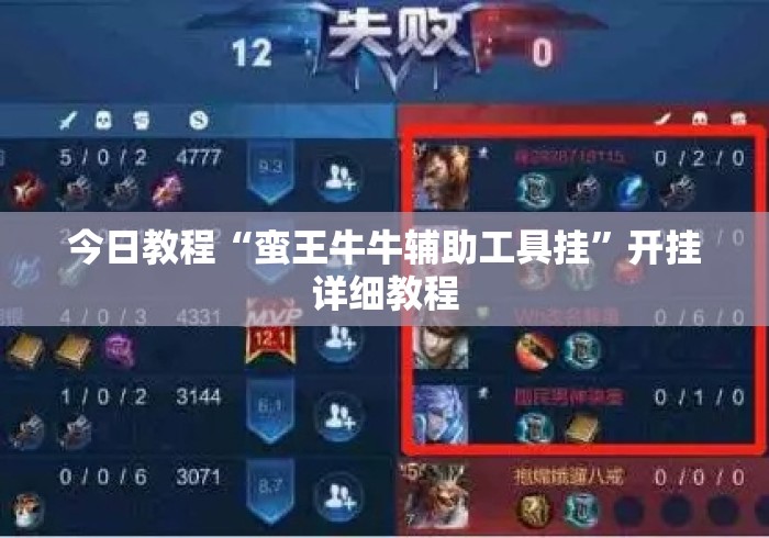 今日教程“蛮王牛牛辅助工具挂”开挂详细教程