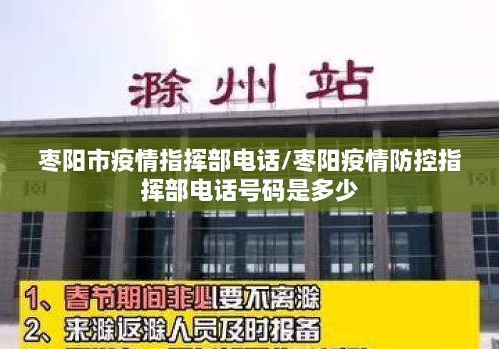 枣阳市疫情指挥部电话/枣阳疫情防控指挥部电话号码是多少