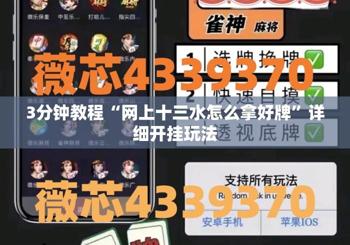 3分钟教程“网上十三水怎么拿好牌”详细开挂玩法