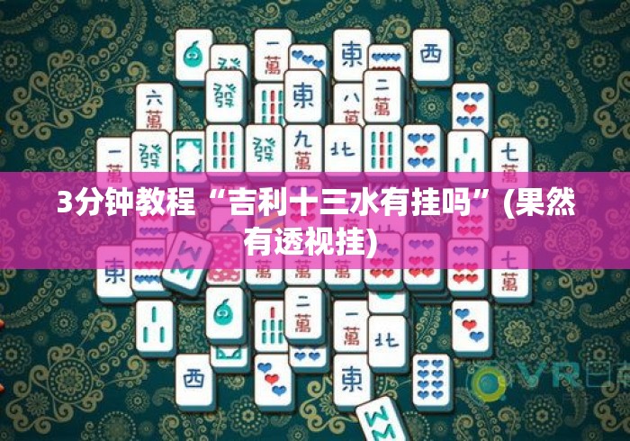 3分钟教程“吉利十三水有挂吗”(果然有透视挂) 