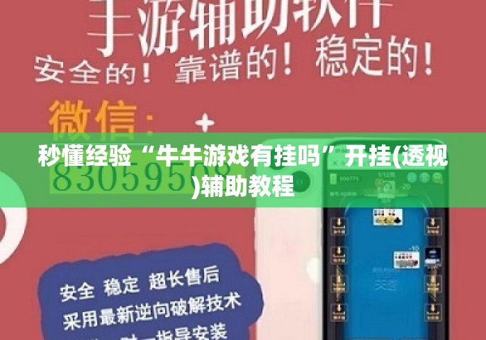 秒懂经验“牛牛游戏有挂吗”开挂(透视)辅助教程