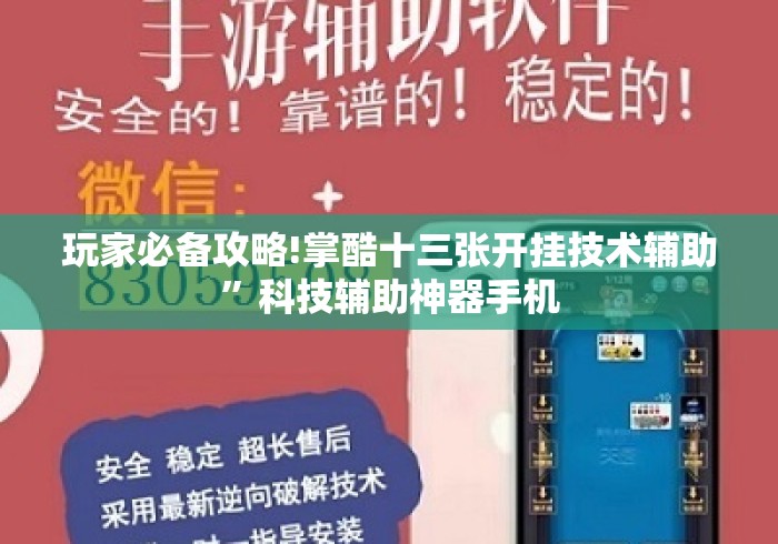 玩家必备攻略!掌酷十三张开挂技术辅助	”科技辅助神器手机