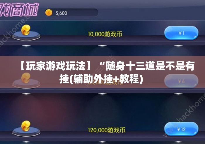 【玩家游戏玩法】“随身十三道是不是有挂(辅助外挂+教程) 