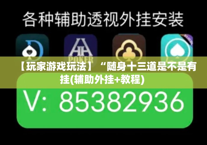 【玩家游戏玩法】“随身十三道是不是有挂(辅助外挂+教程) 