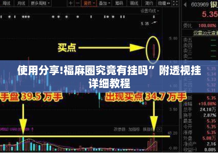 使用分享!福麻圈究竟有挂吗	”附透视挂详细教程
