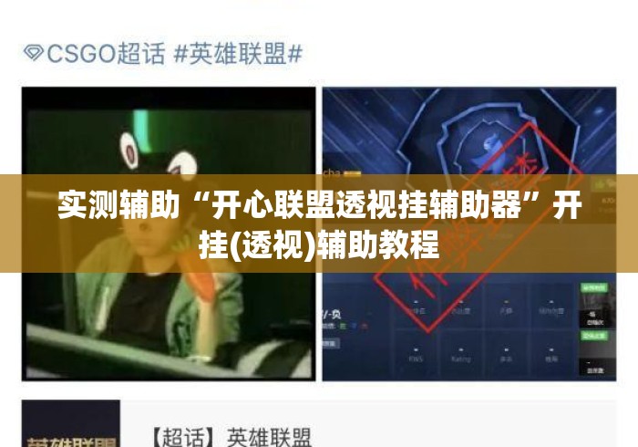 实测辅助“开心联盟透视挂辅助器”开挂(透视)辅助教程