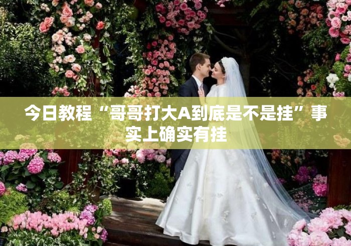 今日教程“哥哥打大A到底是不是挂	”事实上确实有挂