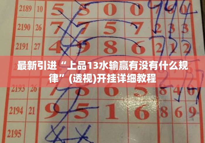 最新引进“上品13水输赢有没有什么规律”(透视)开挂详细教程