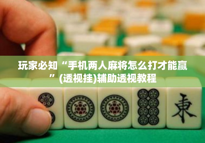 玩家必知“手机两人麻将怎么打才能赢	”(透视挂)辅助透视教程
