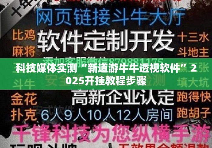 科技媒体实测“新道游牛牛透视软件”2025开挂教程步骤